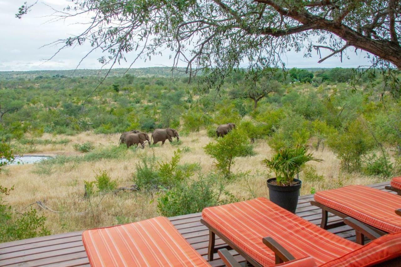 Casart Game Lodge Grietjie Game Reserve ภายนอก รูปภาพ
