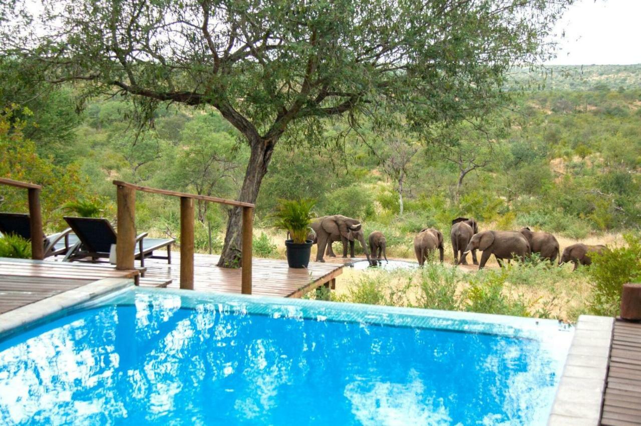 Casart Game Lodge Grietjie Game Reserve ภายนอก รูปภาพ