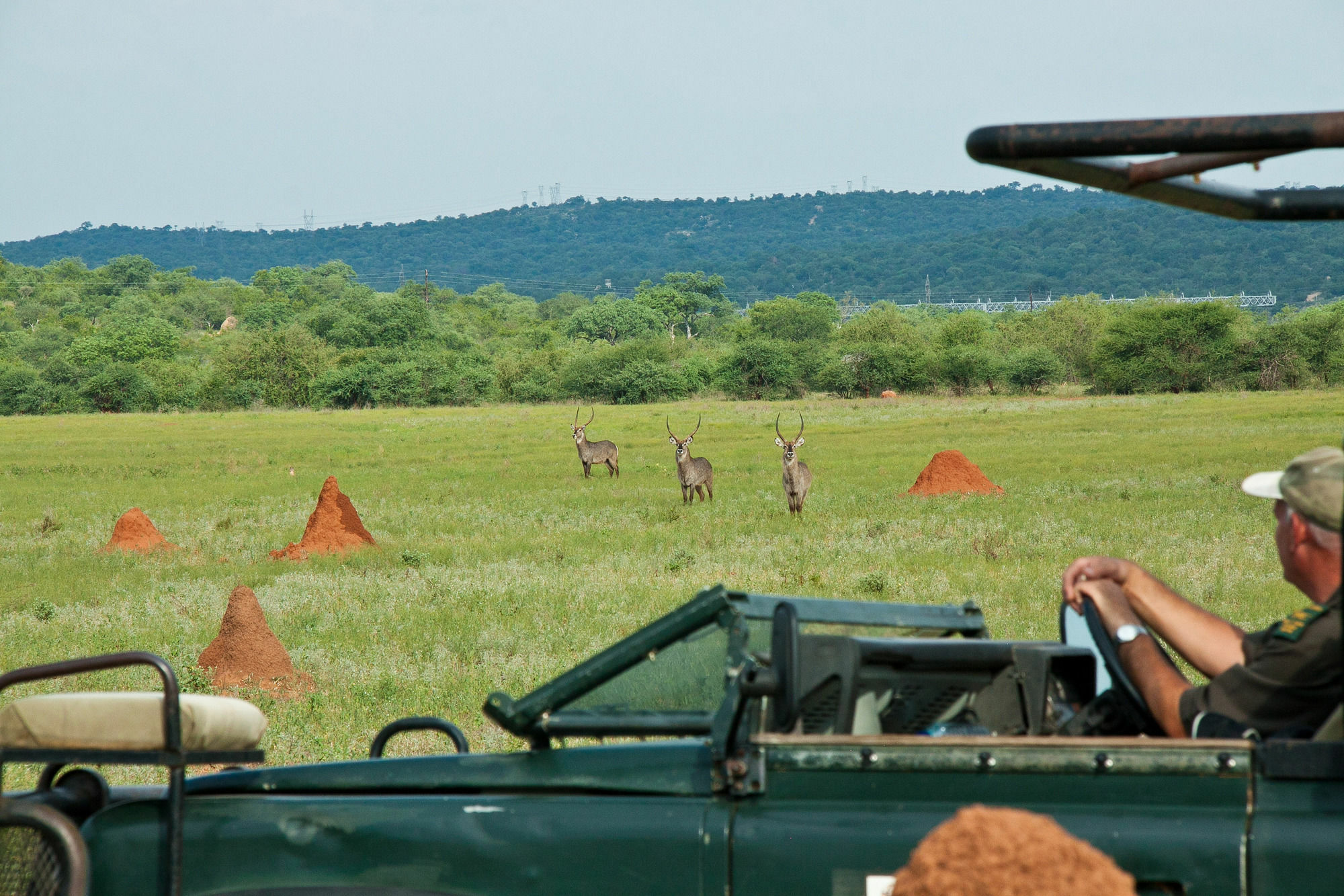 Casart Game Lodge Grietjie Game Reserve ภายนอก รูปภาพ